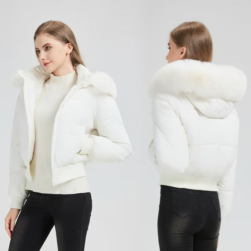 Popular thick and versatile cotton clothing with warm hood   E739