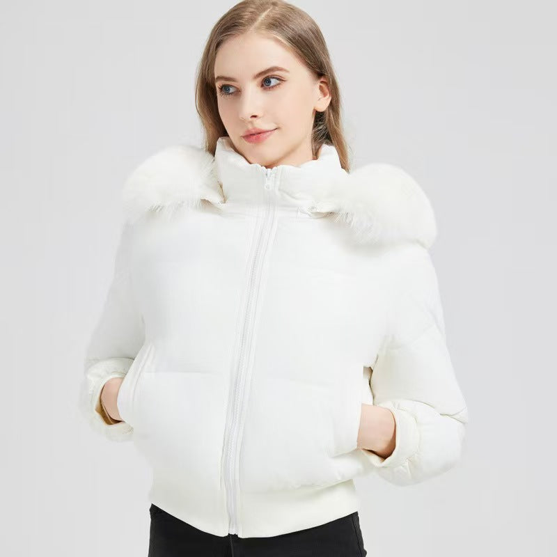 Popular thick and versatile cotton clothing with warm hood   E739